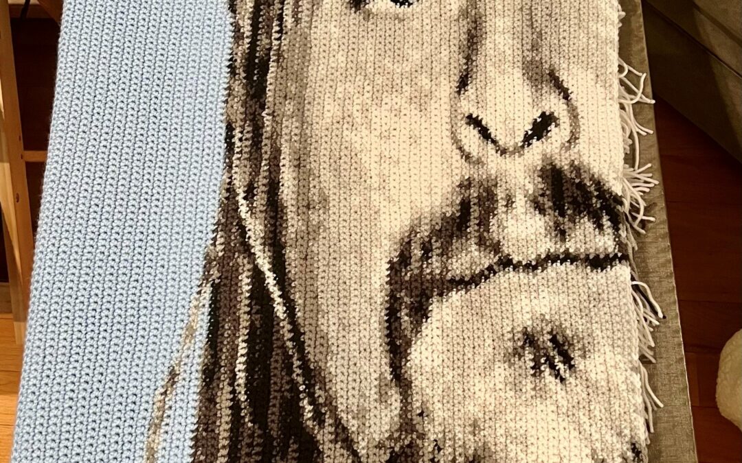 A Labor of Love: My Kid Rock Crochet Graphghan in Progress
